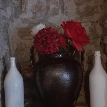 Agriturismo La Vecchia Cascina Di Paolo & Belinda Villa Pietrelcina Kültér fotó