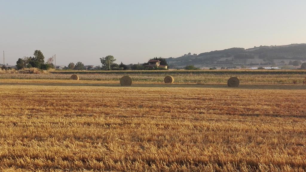 Agriturismo La Vecchia Cascina Di Paolo & Belinda Villa Pietrelcina Kültér fotó